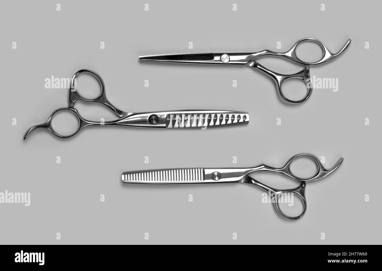 Professional Haircutting Scissors. Studio isolation on grey Stock Photo