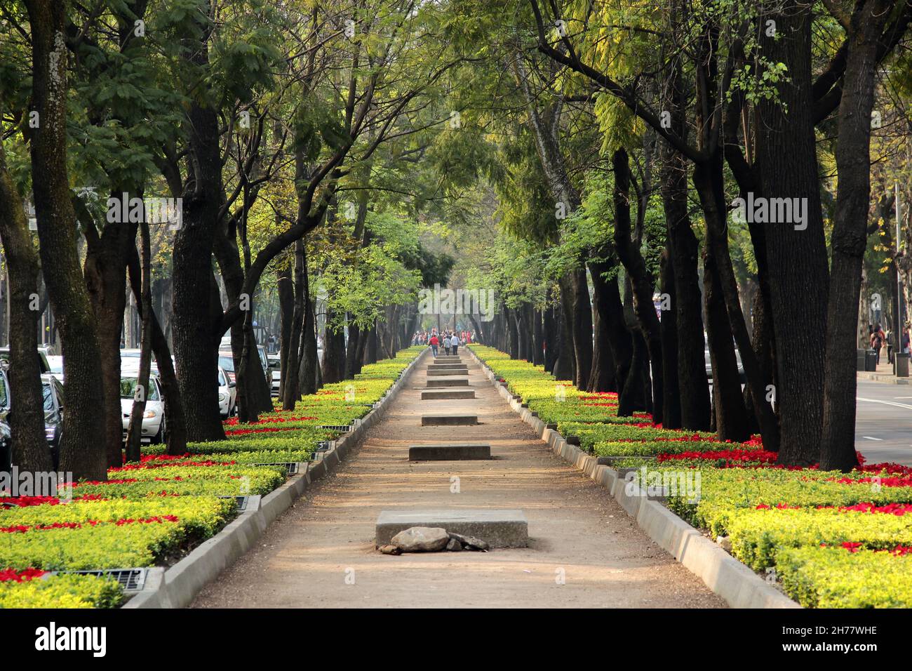 Paseo de la Reforma avenue in Mexico city near Chapultepec forest. Stock Photo