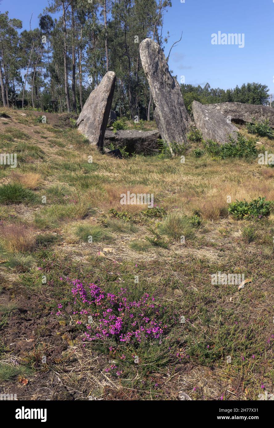 Dolmen, prehistoric tomb in Galicia, Spain Stock Photo Alamy