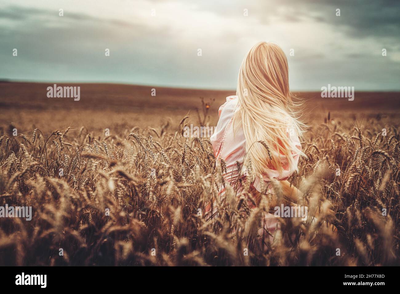 Beautiful woman in ornamental clothing in a wheat field Stock Photo Alamy