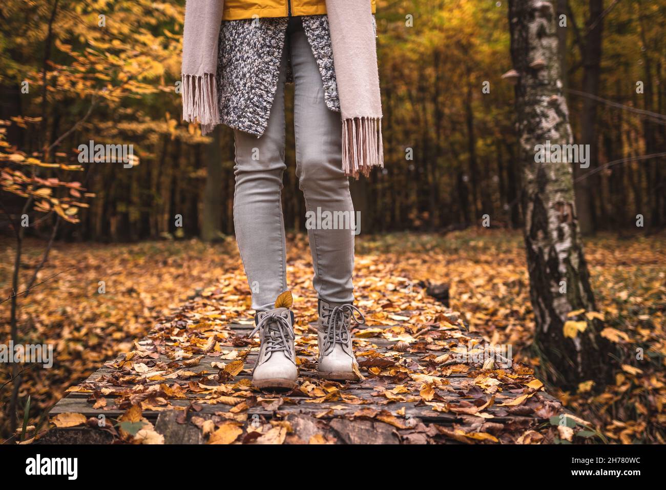 Hiking fall forest hi-res stock photography and images - Alamy