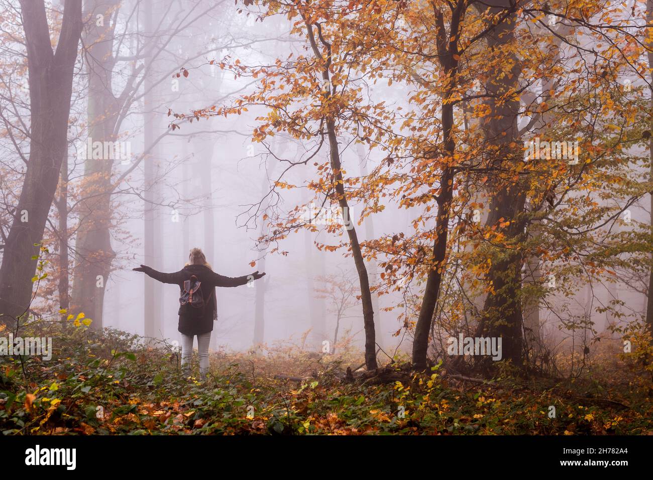 Positive Energy Fall Tourist enjoying positive energy in autumn forest. Woman is feeling ...