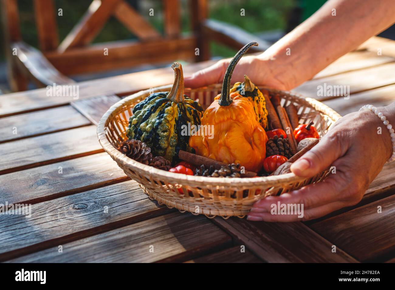 Woman decorating wooden table with pumpkins, cones and other decoration in wicker basket. Preparing table for Thanksgiving dinner in garden Stock Photo