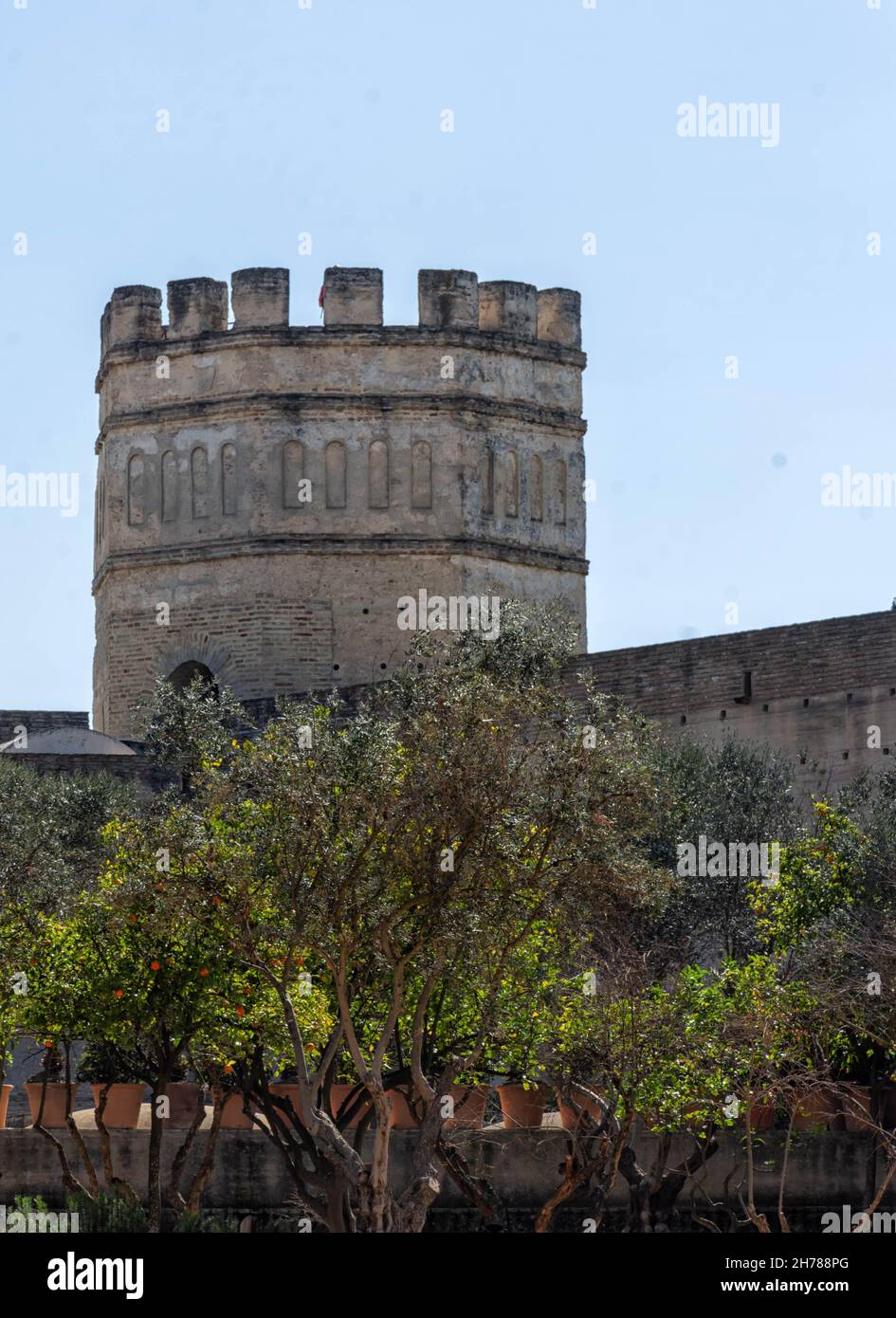 Alcazar fortress, Patio de Armas en Jerez de la Frontera, Real Alcazar Stock Photo