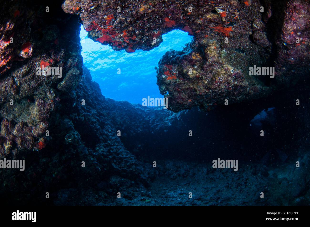 Divers explore natural caves and rocks in the Mediterranean sea off the coast of Larnaca, Cyprus, Stock Photo