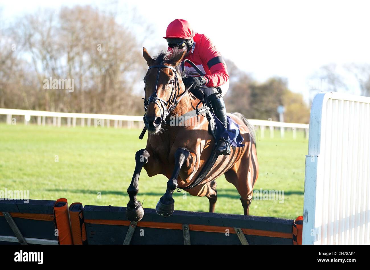 Gaia Du Gouet ridden by jockey Harry Skelton on their way to winning the Charles Hedley Country Clothing Mares' 'National Hunt' Novices' Hurdle at Uttoxeter Racecourse, Staffordshire. Picture date: Sunday November 21, 2021. Stock Photo