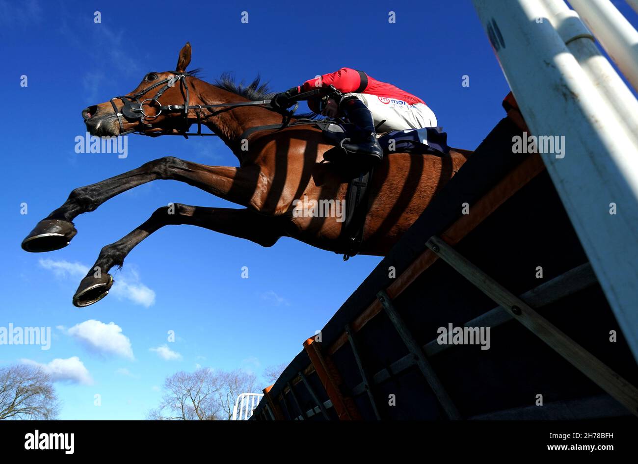 Gaia Du Gouet ridden by jockey Harry Skelton on their way to winning the Charles Hedley Country Clothing Mares' 'National Hunt' Novices' Hurdle at Uttoxeter Racecourse, Staffordshire. Picture date: Sunday November 21, 2021. Stock Photo