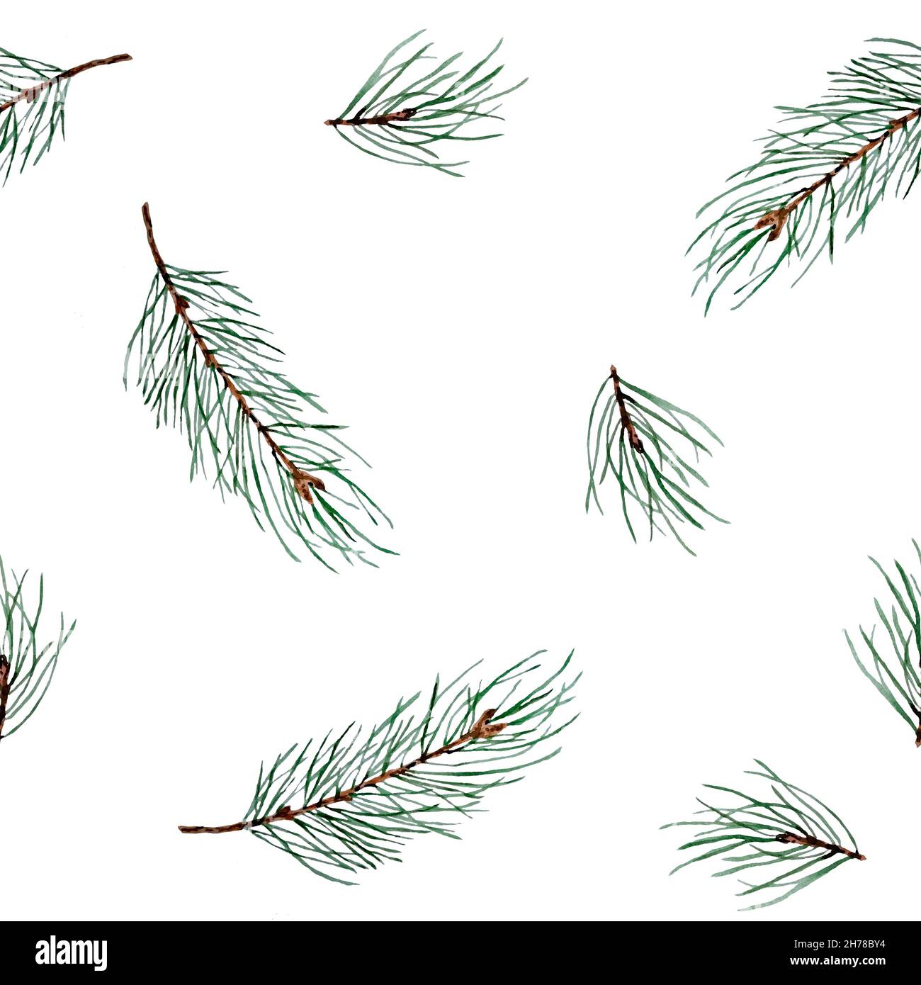 Watercolor hand drawn seamless pattern with pine conifer spruce ...