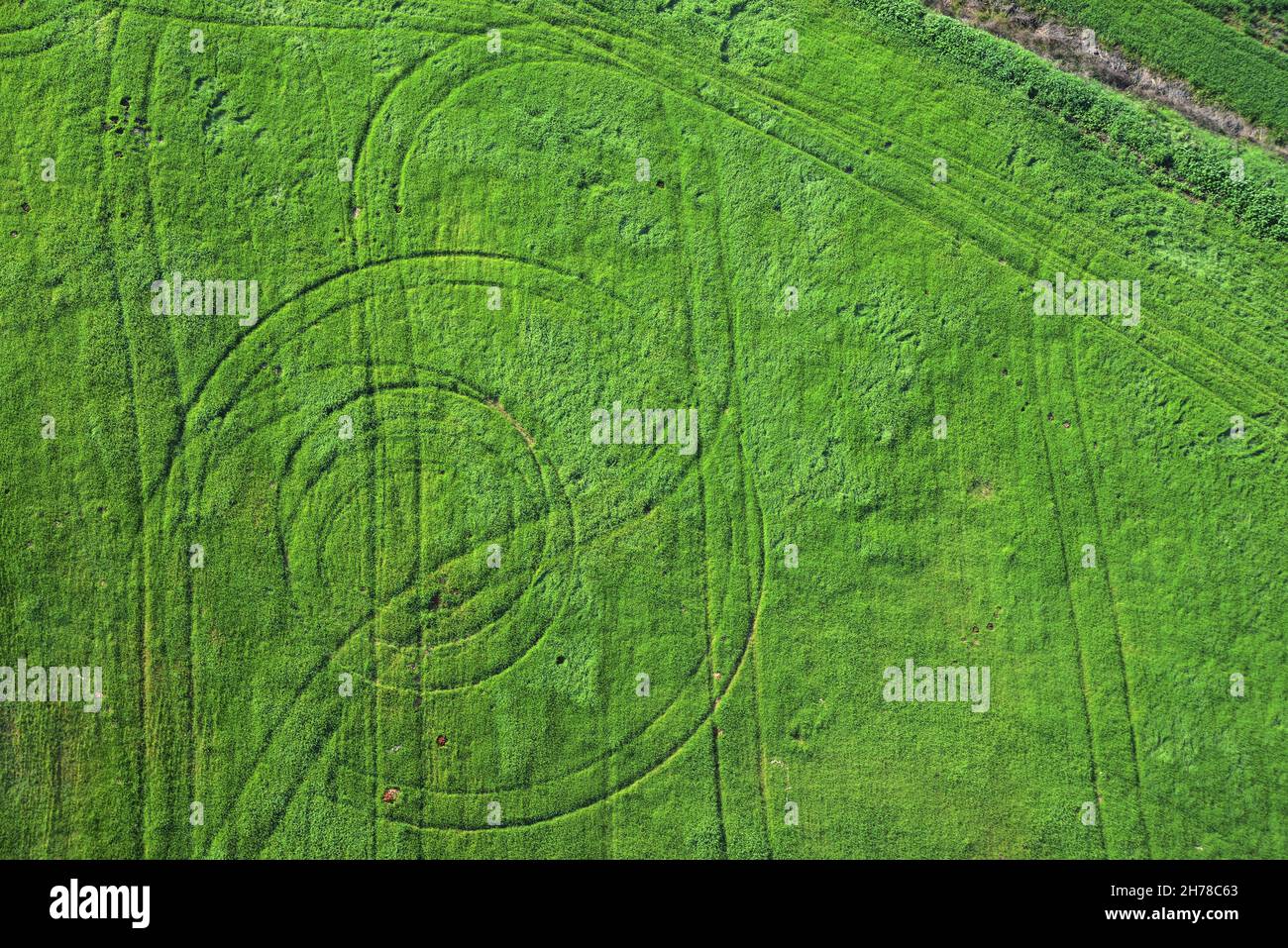 Elevated aerial photography of Crop circles Photographed in Israel, Coastal Plains Stock Photo
