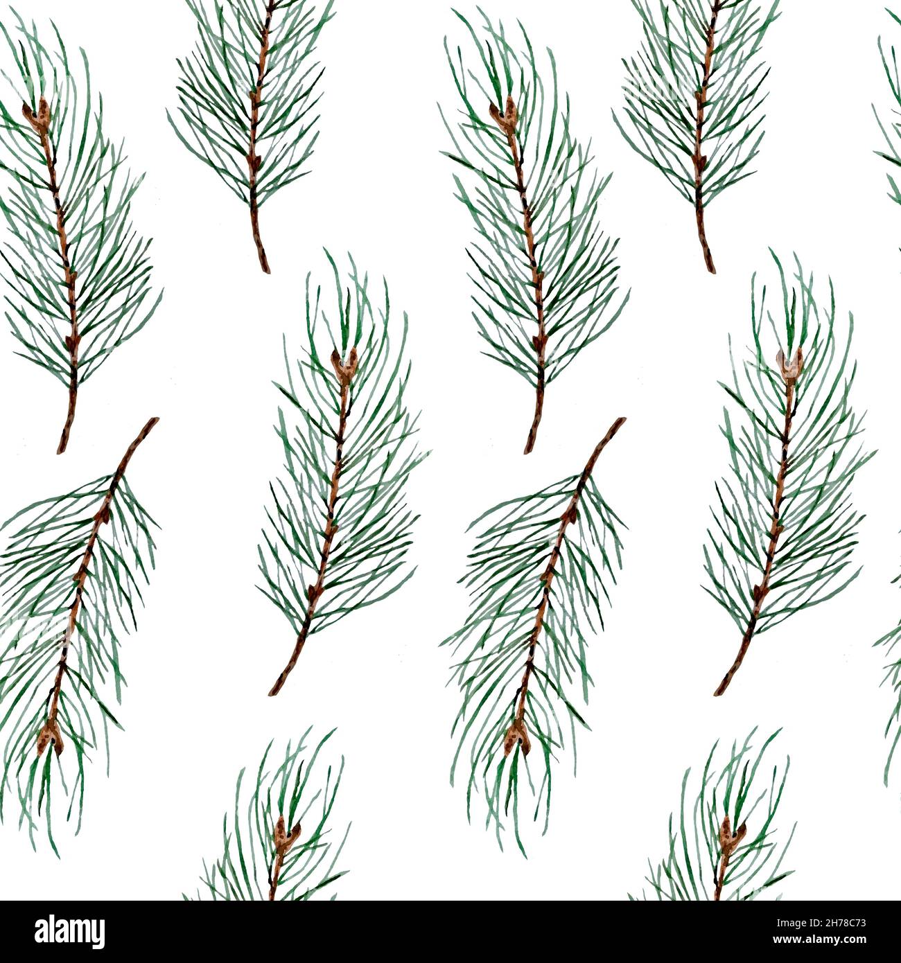 Watercolor hand drawn seamless pattern with pine conifer spruce branches twigs and cones on white background, Christmas winter new year print for textile wrapping paper, natural orhnic colors green evergreen brown fabric Stock Photo