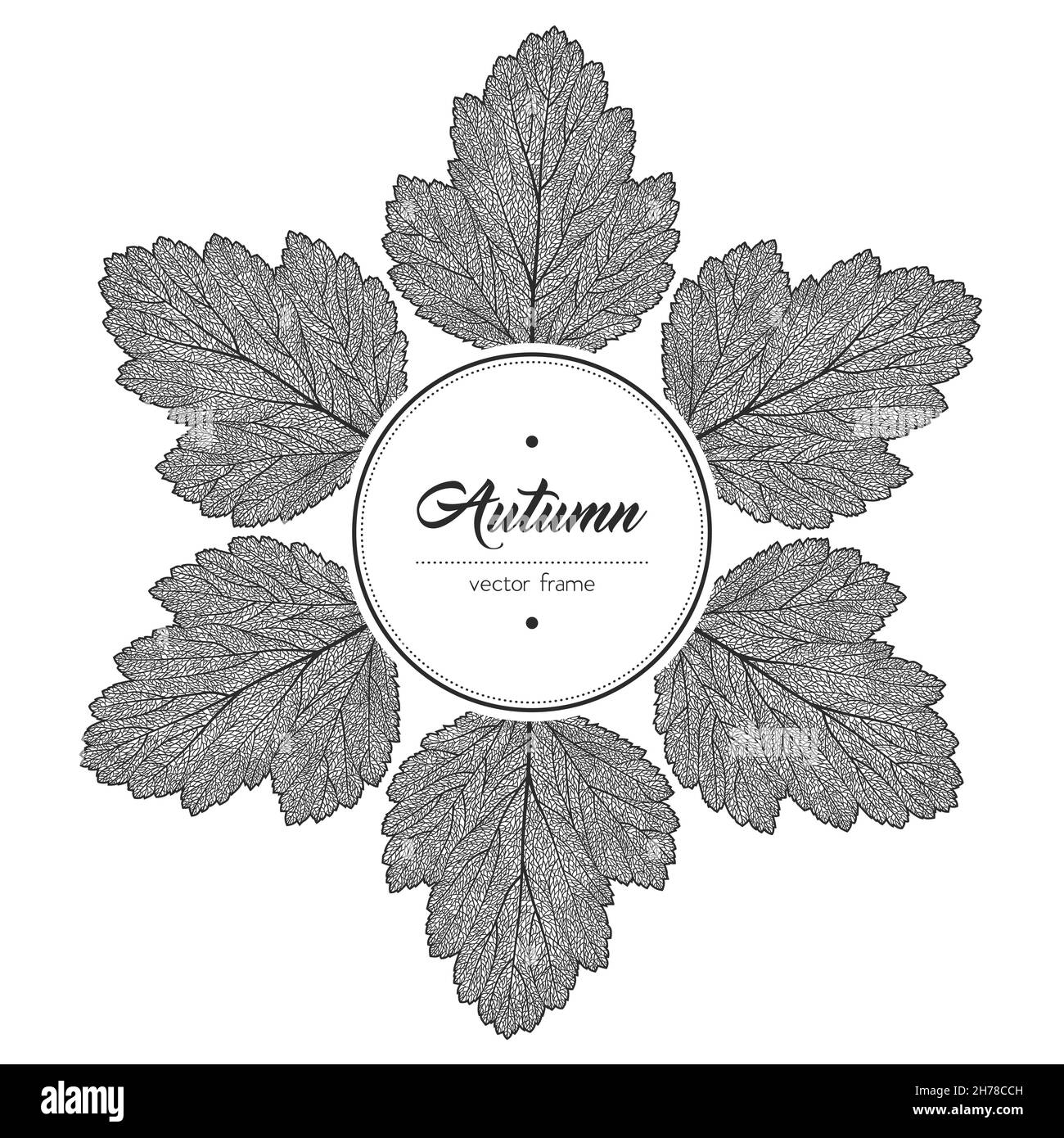 Round black and white autumn leaf frame Stock Vector Image & Art - Alamy