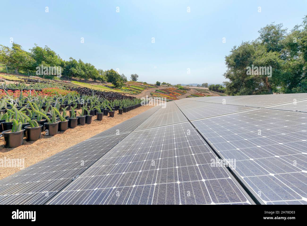 Large garden field with ground-mounted solar panels. There are solar ...