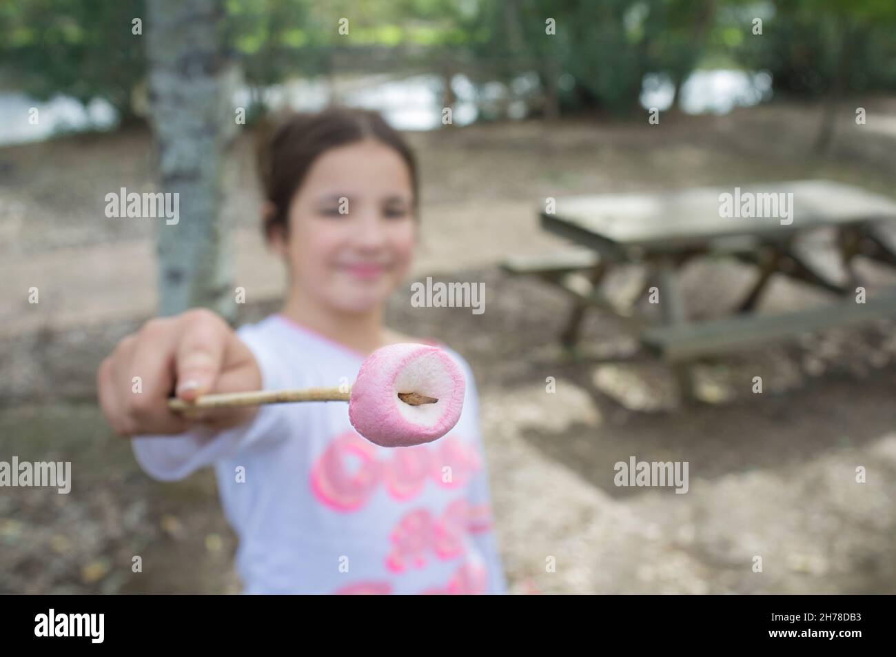 Child girl showing half-toasted marshmallow on stick. Selective focus Stock Photo