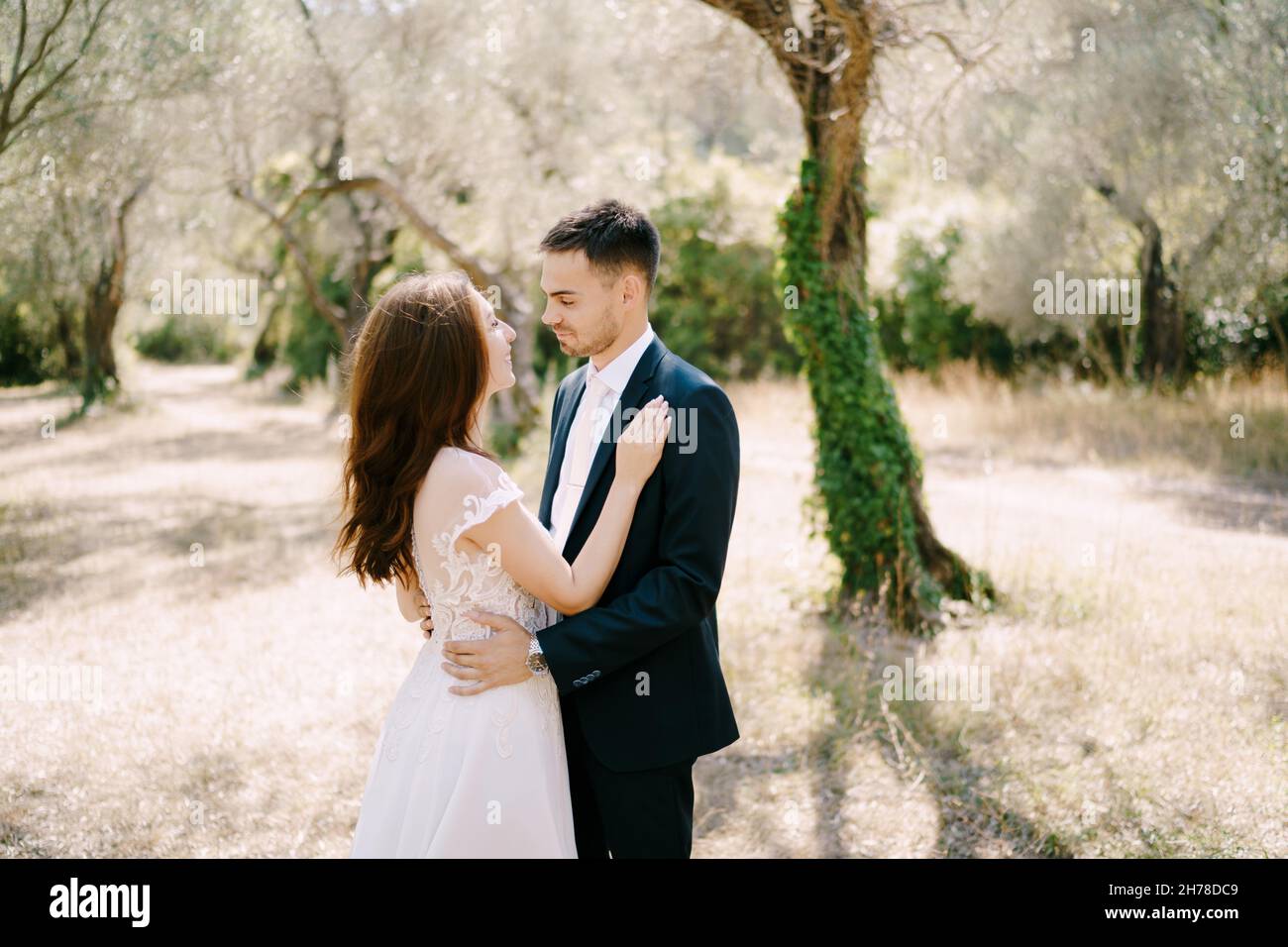 Groom embraces bride in the olive grove. Portrait Stock Photo - Alamy