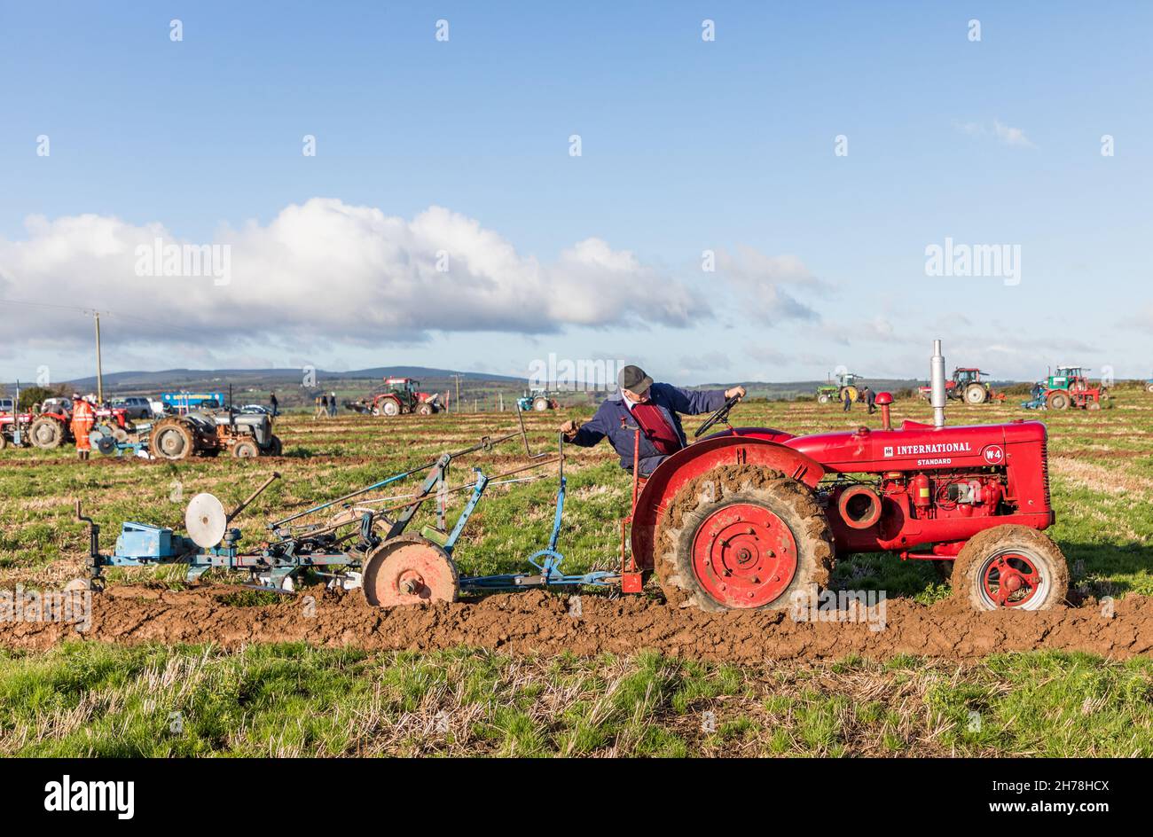 Watergrasshill, Cork, Ireland. 21st Nov, 2021. Pat Connolly on his 1940's McCormack International W4 tractor, taking part in the Cork East Ploughing Association annual match which was held on the farm of Noel and Aileen Hurley, Ballinaltig, Watergrasshill, Co. Cork. - Picture; Credit: David Creedon/Alamy Live News Stock Photo