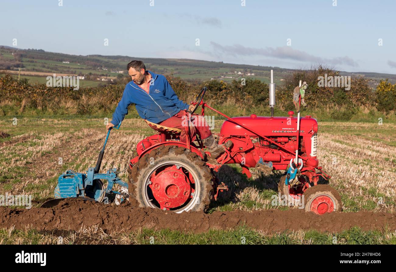 Watergrasshill, Cork, Ireland. 21st Nov, 2021. Trevor Fleming from Castlemartyr on his 1948 McCormack Farmall Cub taking part in the ploughing match at the Watergrasshill ploughing association annual match which was held on the farm of Noel and Aileen Hurley, Ballinaltig, Watergrasshill, Co. Cork. - Picture; Credit: David Creedon/Alamy Live News Stock Photo