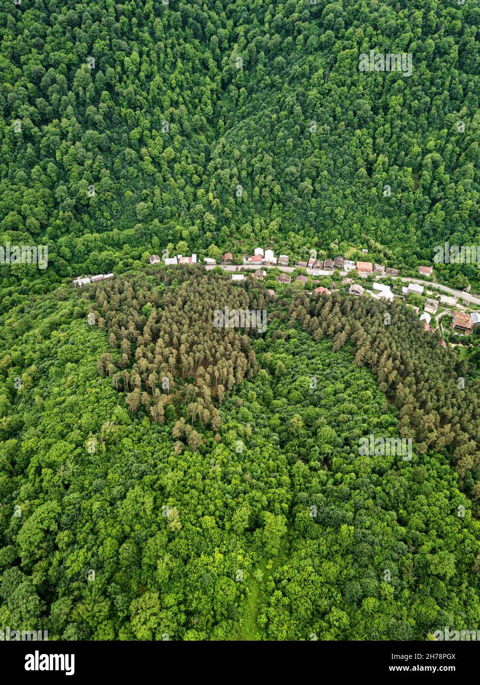 Drone view of a mountain valley with dense forests and a road along ...
