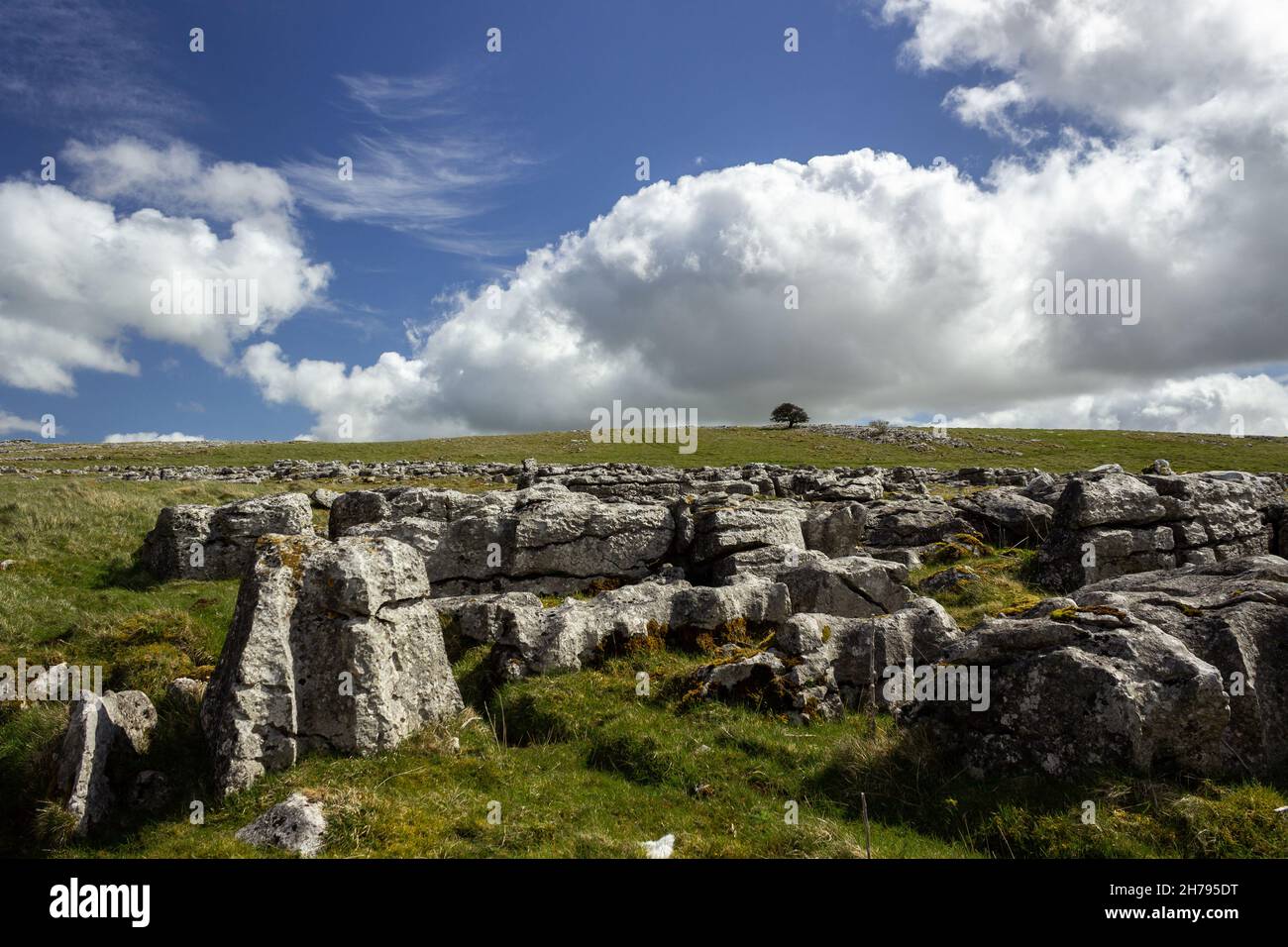 Cumbria, UK: Great Asby Scar nature reserve and Site of Special Scientific Interest (SSSI) Stock Photo