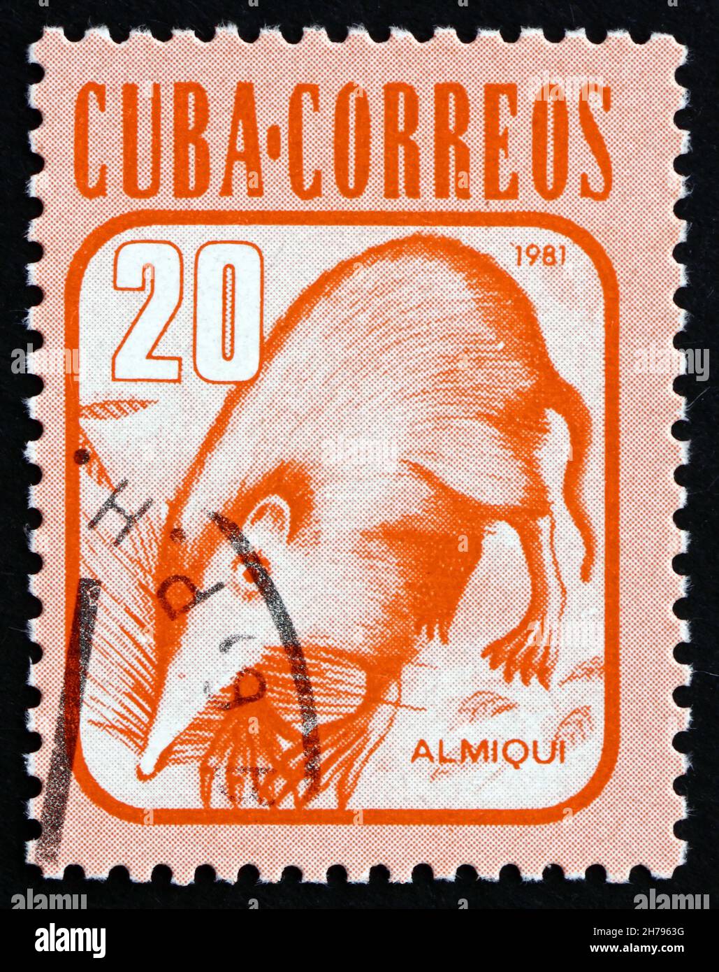 CUBA - CIRCA 1981: a stamp printed in the Cuba shows Almiqui, Cuban Solenodon, Solenodon Cubanus, Mammal Endemic to Cuba, circa 1981 Stock Photo