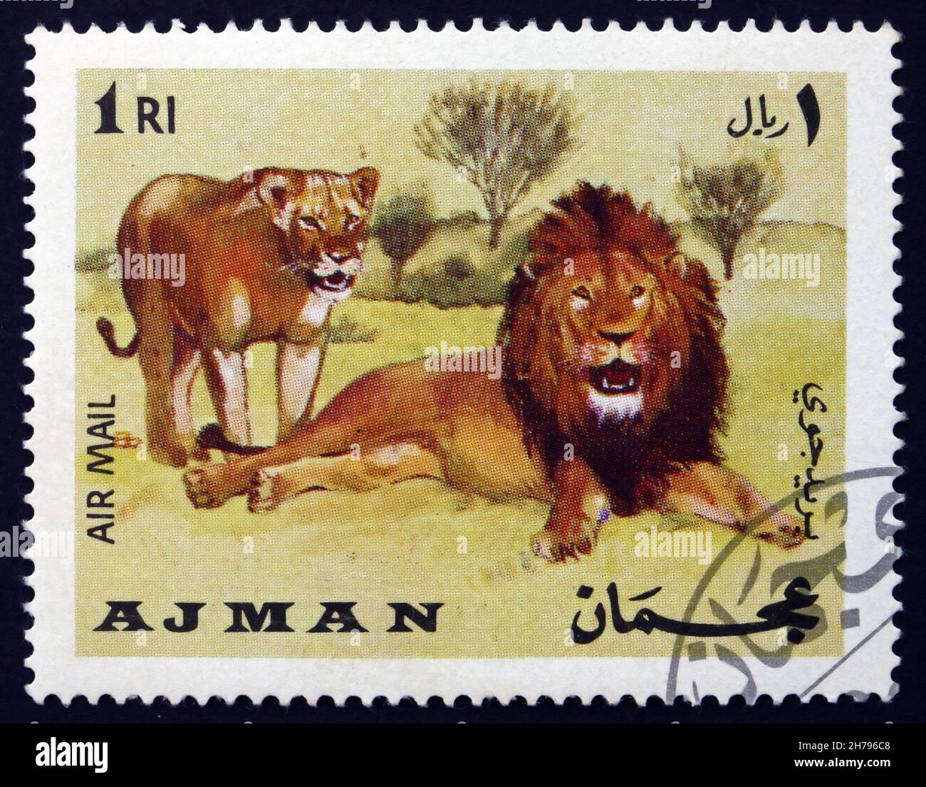 AJMAN - CIRCA 1969: a stamp printed in the Ajman shows African Lion, Panthera Leo, Animal, circa 1969 Stock Photo