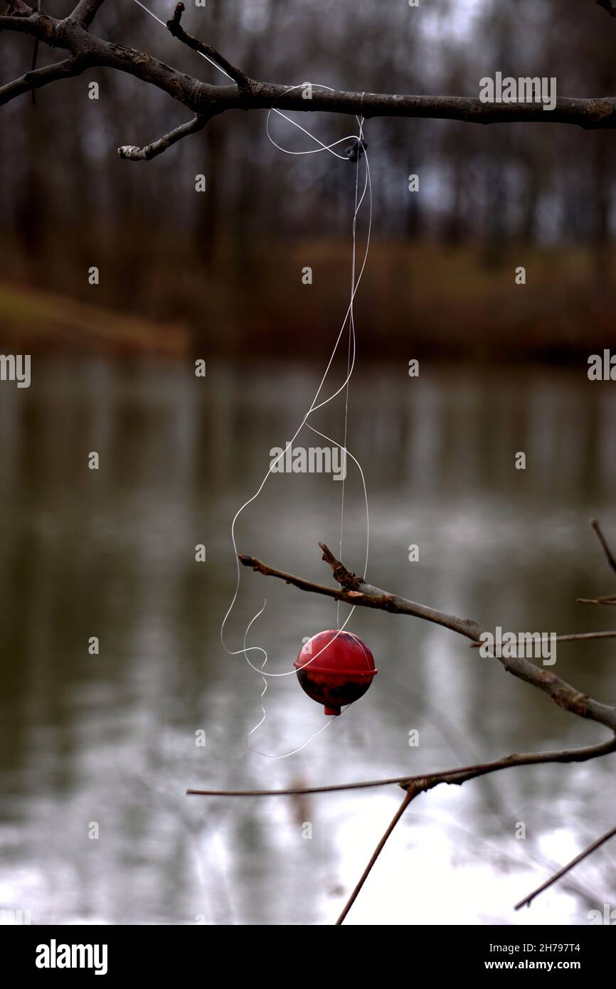 Fishing Line and Bobber Caught In Tree Branches Stock Photo Alamy
