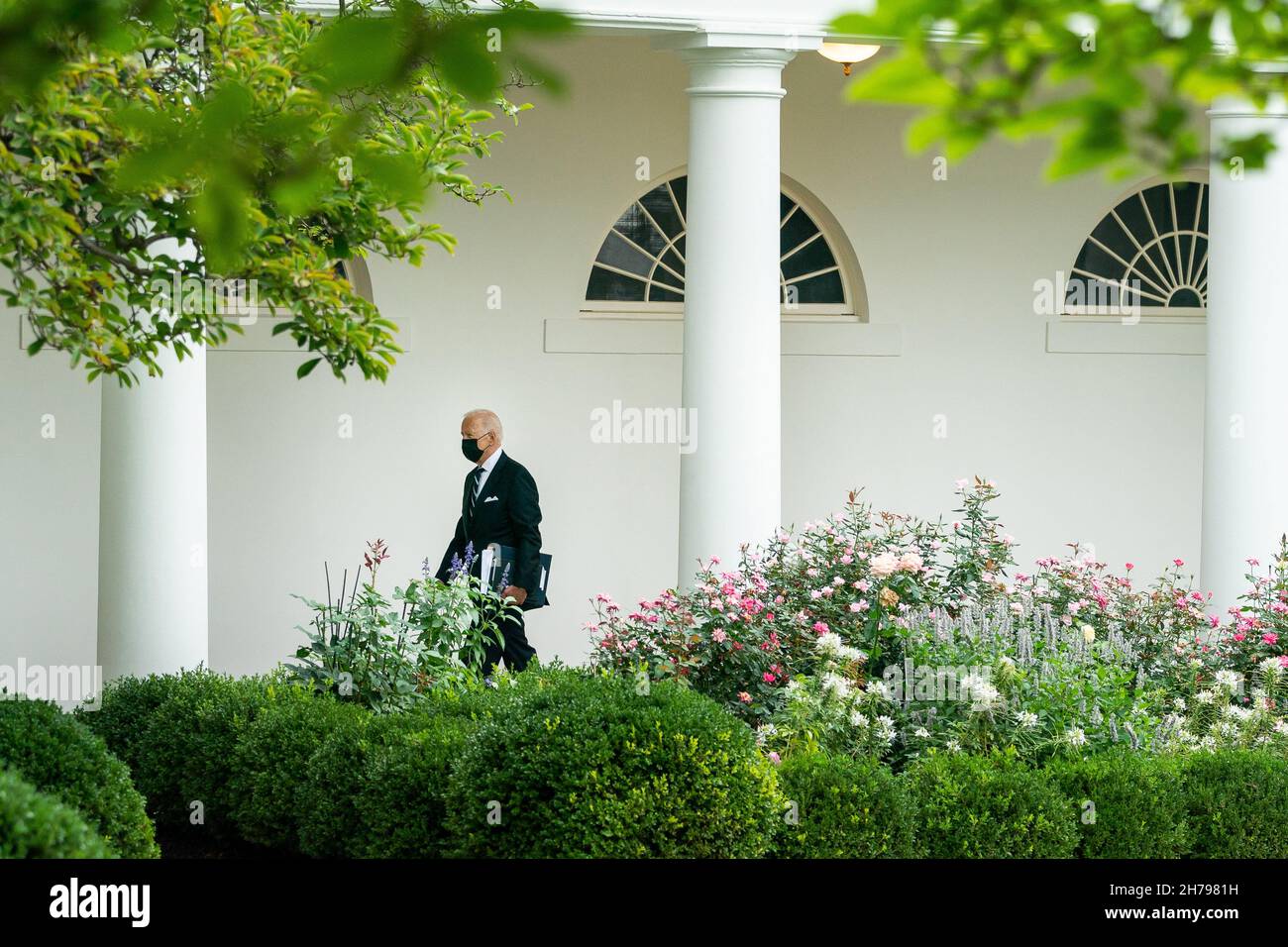 WASHINGTON DC, USA - 18 August 2021 - US President Joe Biden walks along the Colonnade, Wednesday, August 18, 2021, on his way to the Oval Office of t Stock Photo