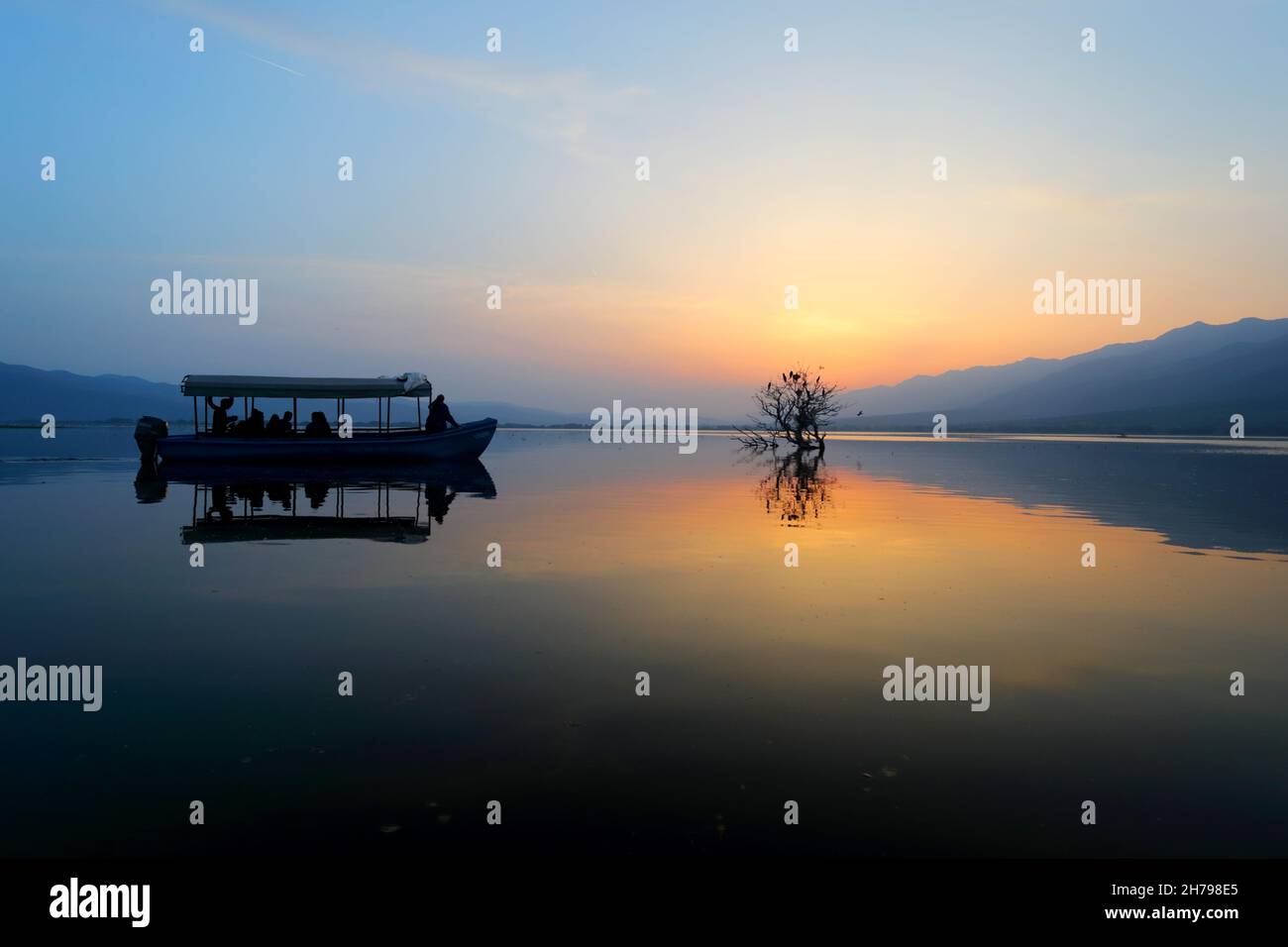 Sunset at Lake Kerkini in Central Macedonia, Greece, taken from a boat on the lake, showing cormorants perching on a dead tree Stock Photo