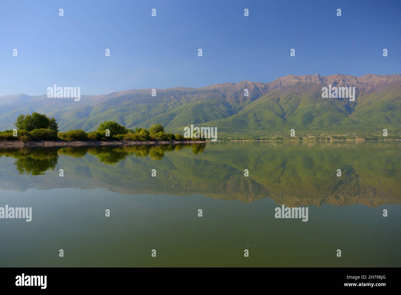 Lake Kerkini in Central Macedonia, northern Greece in spring Stock