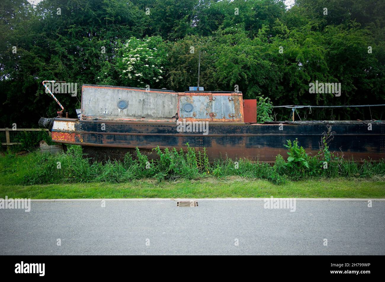 Weeds growing out around hi-res stock photography and images - Alamy