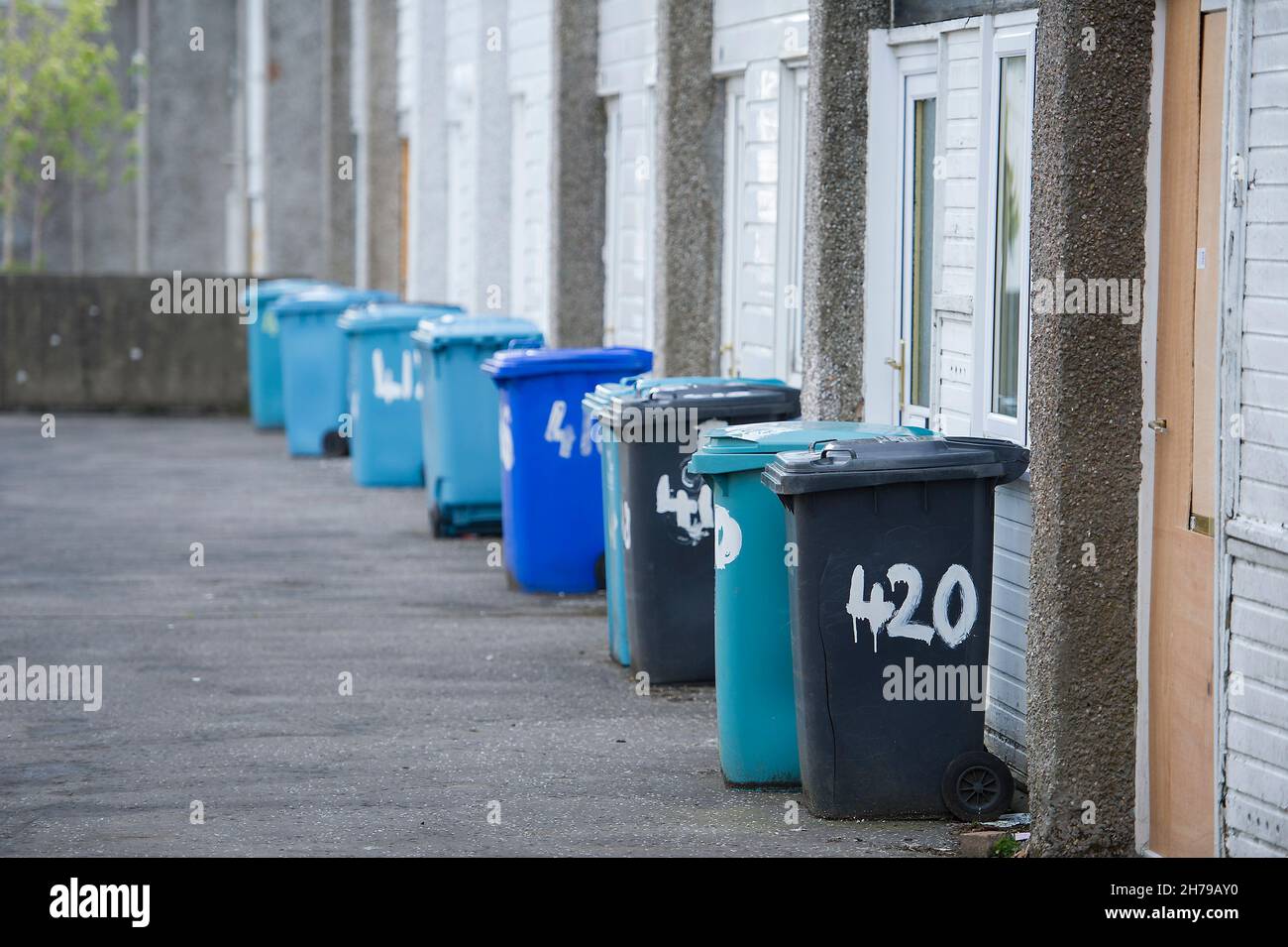 Plastic wheelie bins used for waste and recycling collections lined up