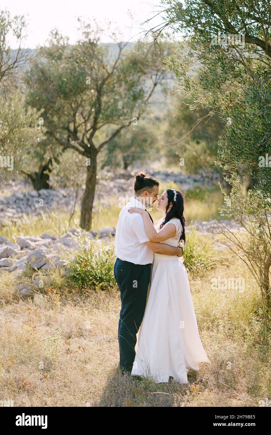 Groom trees hi-res stock photography and images - Alamy