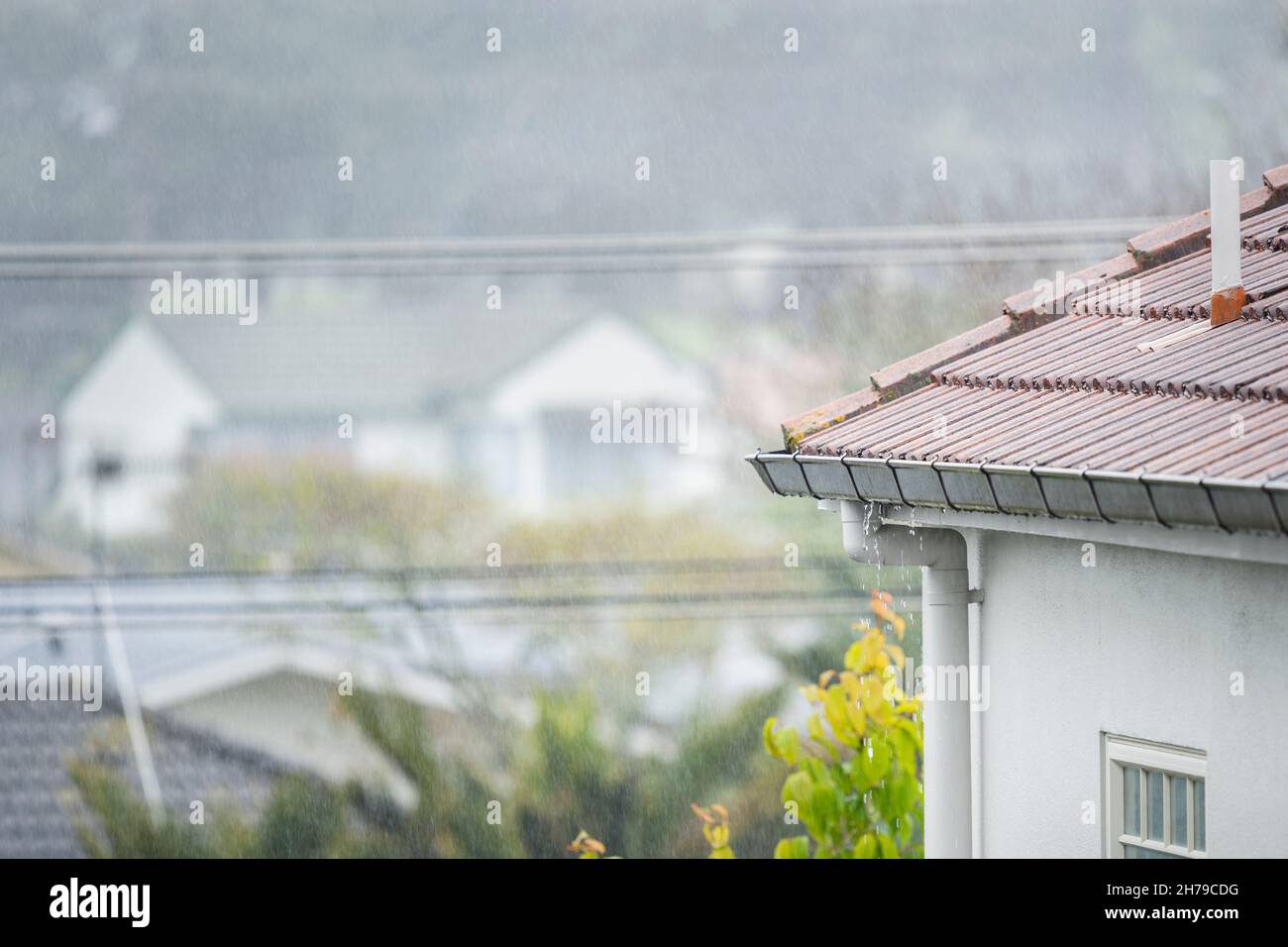 Roof gutter overflow in the rain. Visible raindrops against out-of-focus houses in the background. Stock Photo