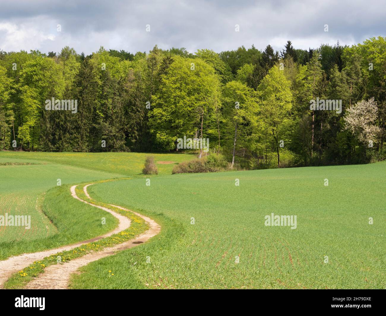 Spring landscape in frankonian Switzerland (Bavaria) Stock Photo