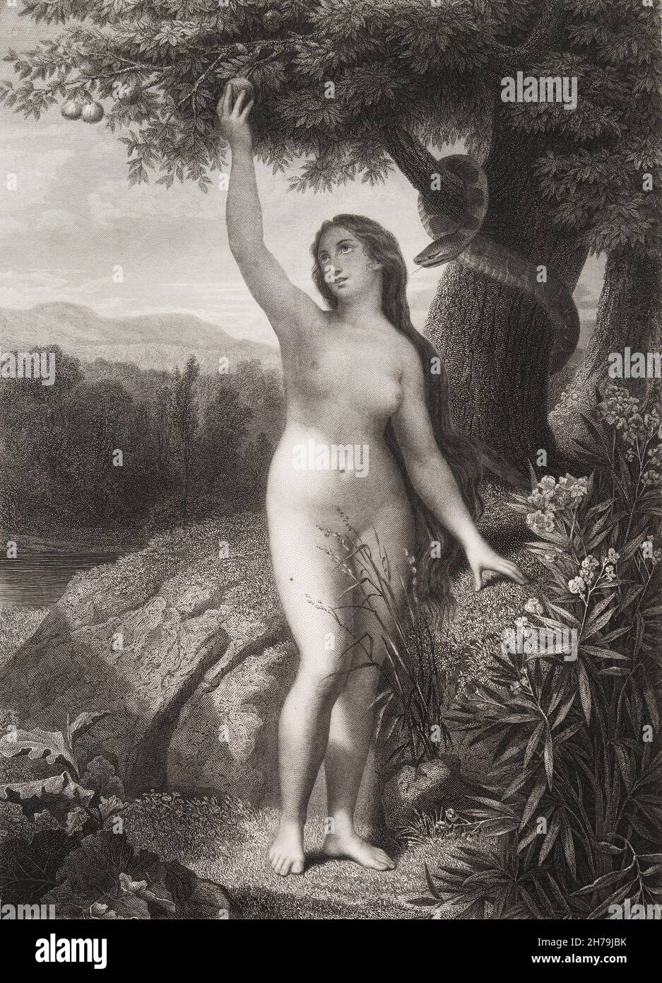 'Eve cueillant la pomme' Gravure tiree de 'Le paradis perdu' de John Milton (1608-1674) traduit par Chateaubriand, 1868 ©Archives-Zephyr/Opale.photo *** Local Caption *** Stock Photo