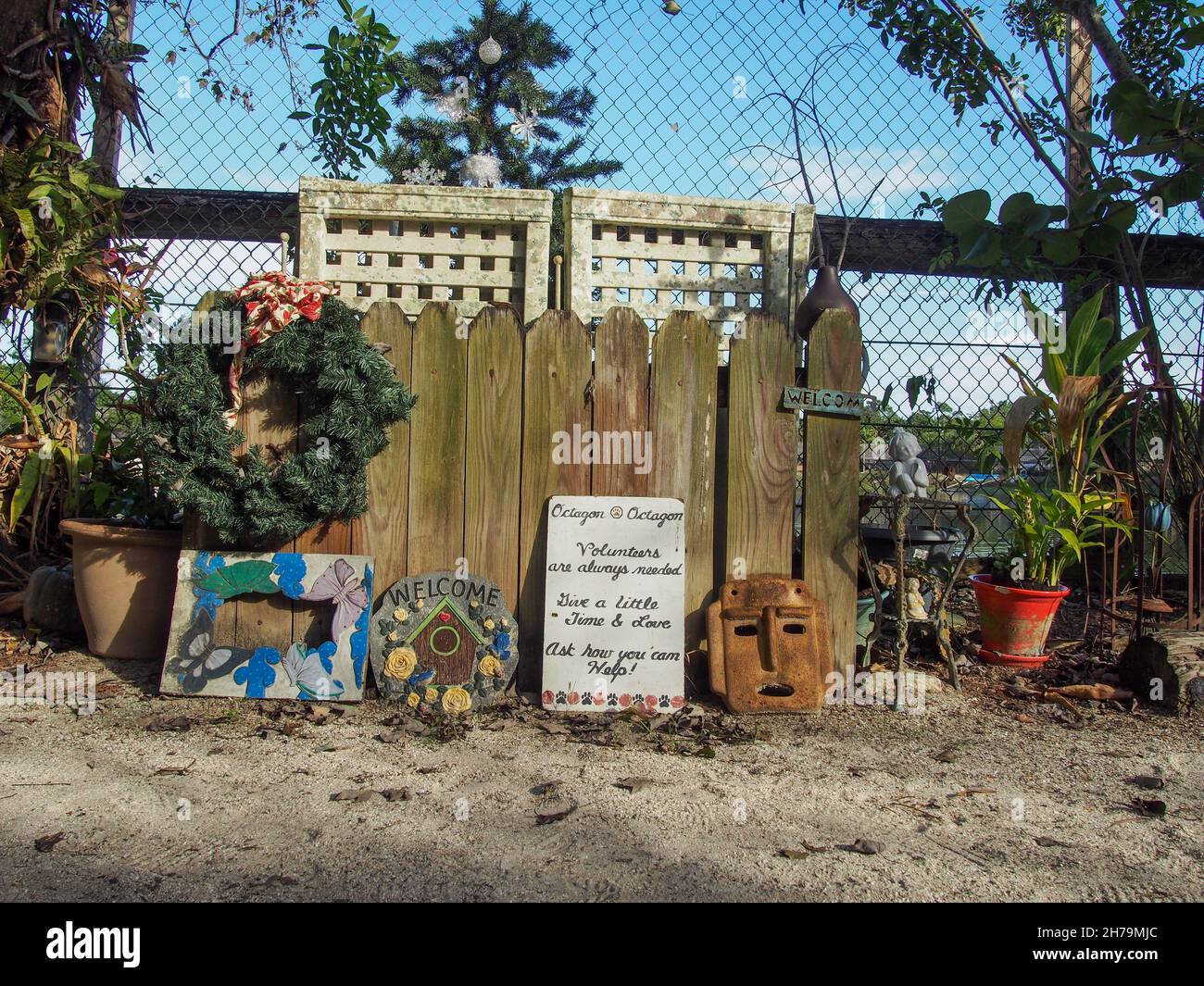Signs and various art and other objects inside the entrance to the Octagon Wildlife Sanctuary in Punta Gorda, Florida, USA, 2020 © Katharine Andriotis Stock Photo