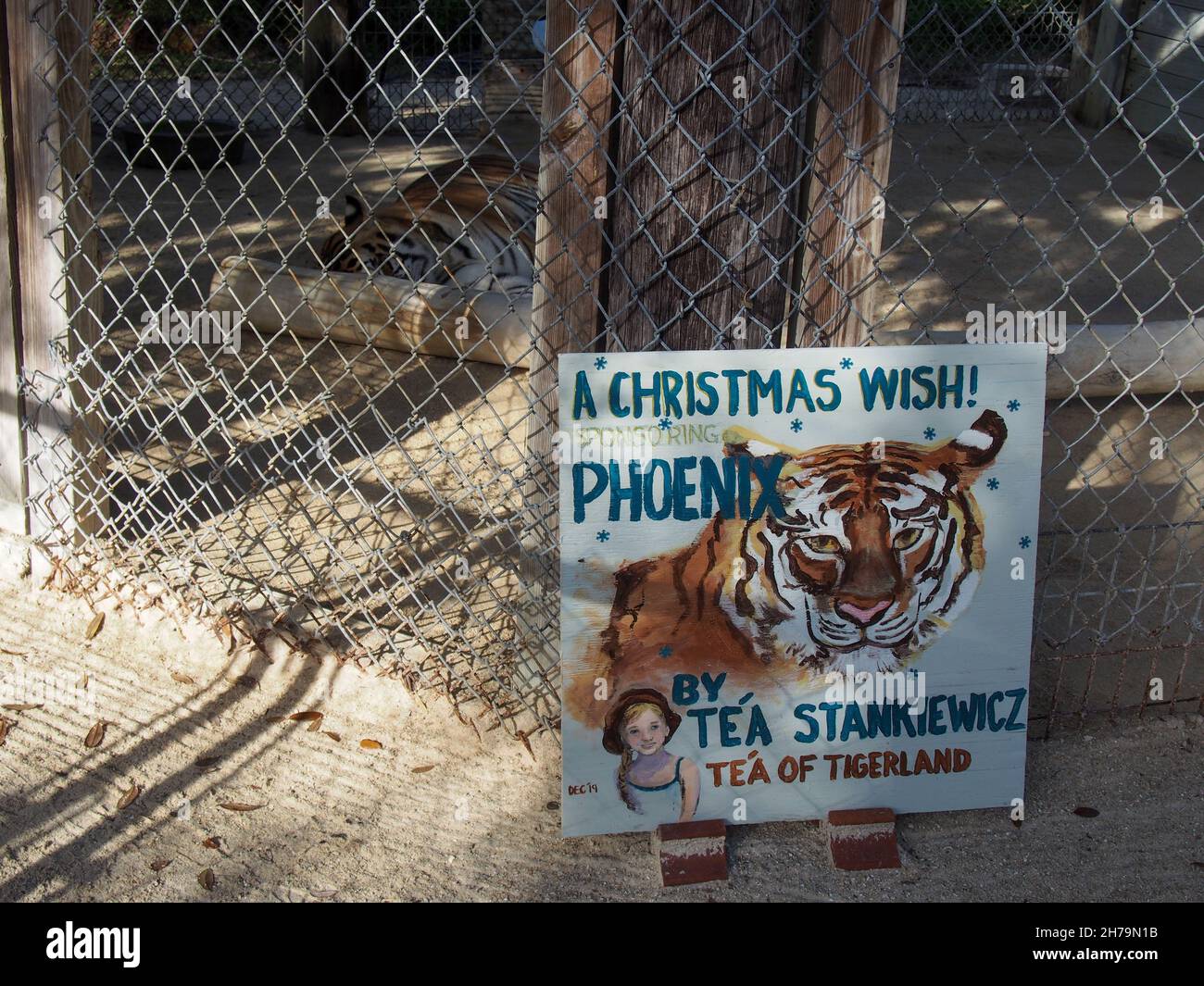 Sign identifying a tiger named Phoenix (pictured in background) at its enclosure at the Octagon Wildlife Sanctuary in Punta Gorda, Florida, USA, 2020 Stock Photo