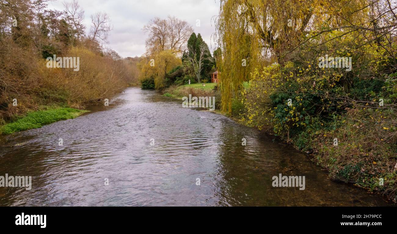 Wiltshire Rivers River and white clouds reflection willow trees hi-res stock photography ...