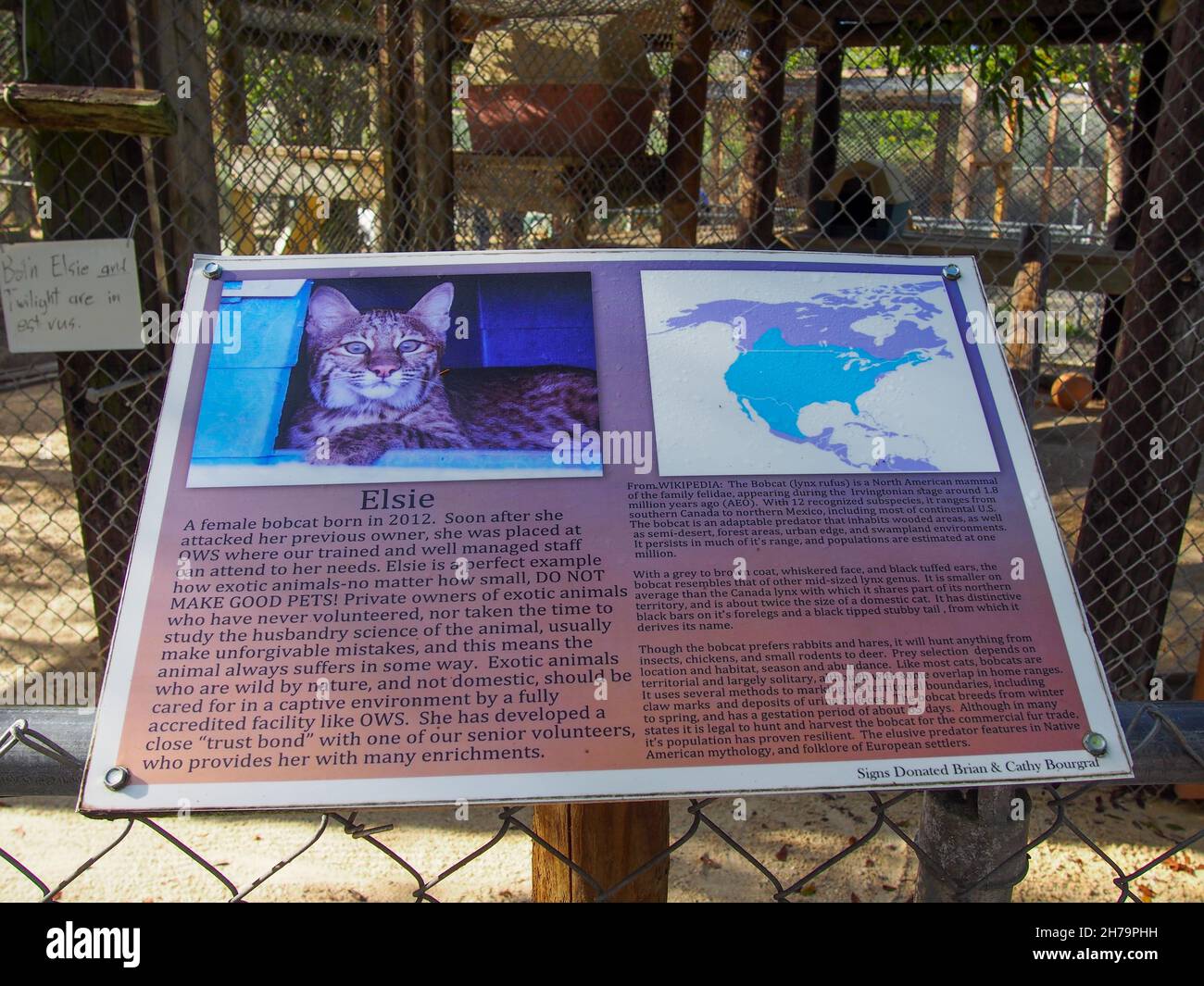 Informational sign about Elsie the bobcat at the Octagon Wildlife Sanctuary in Punta Gorda, Florida, USA, 2020 © Katharine Andriotis Stock Photo