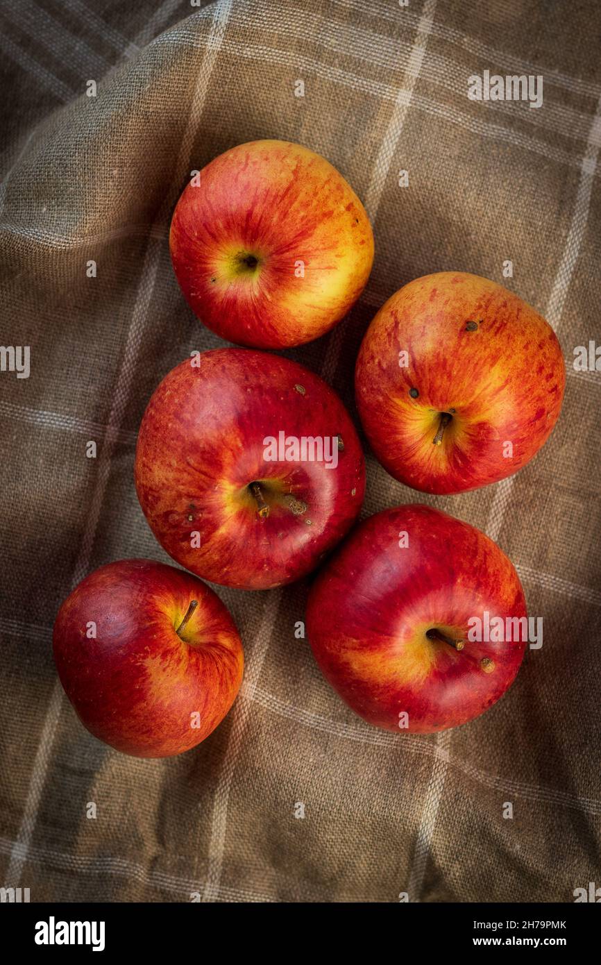 Freshly picked, red, tempting yellow, autumn field apples. Put on a brown linen towel with white squares. Vignette. Healthy diet, autumn mood. Stock Photo