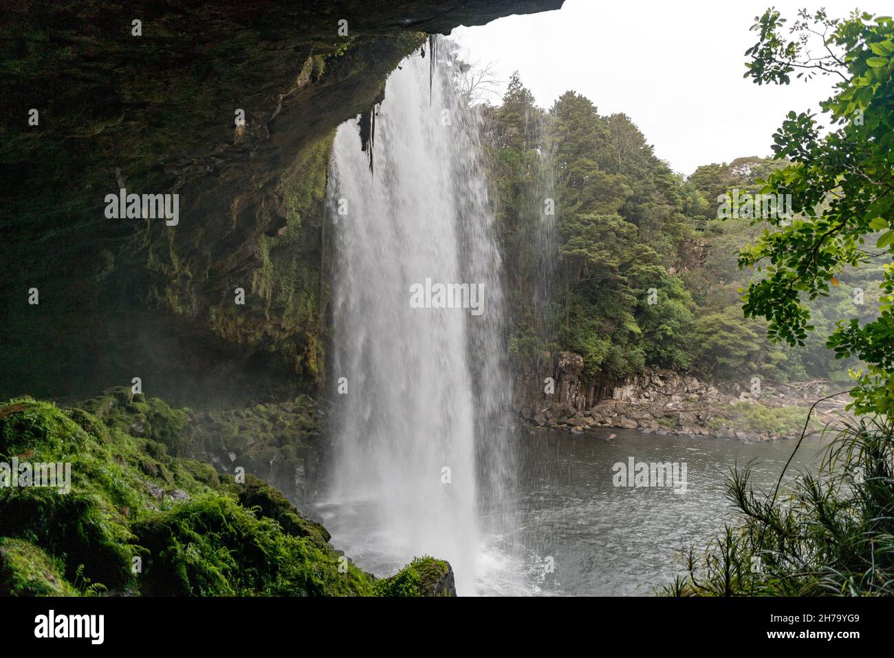 Beautiful Rainbow Falls With Cave Kerikeri Area Northland New beautiful-rainbow-falls-with-cave-kerikeri-area-northland-new