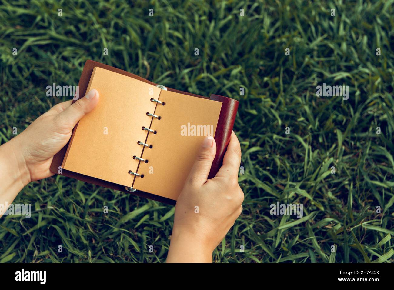 open brown leather notebook in his hands on a background of green grass Stock Photo