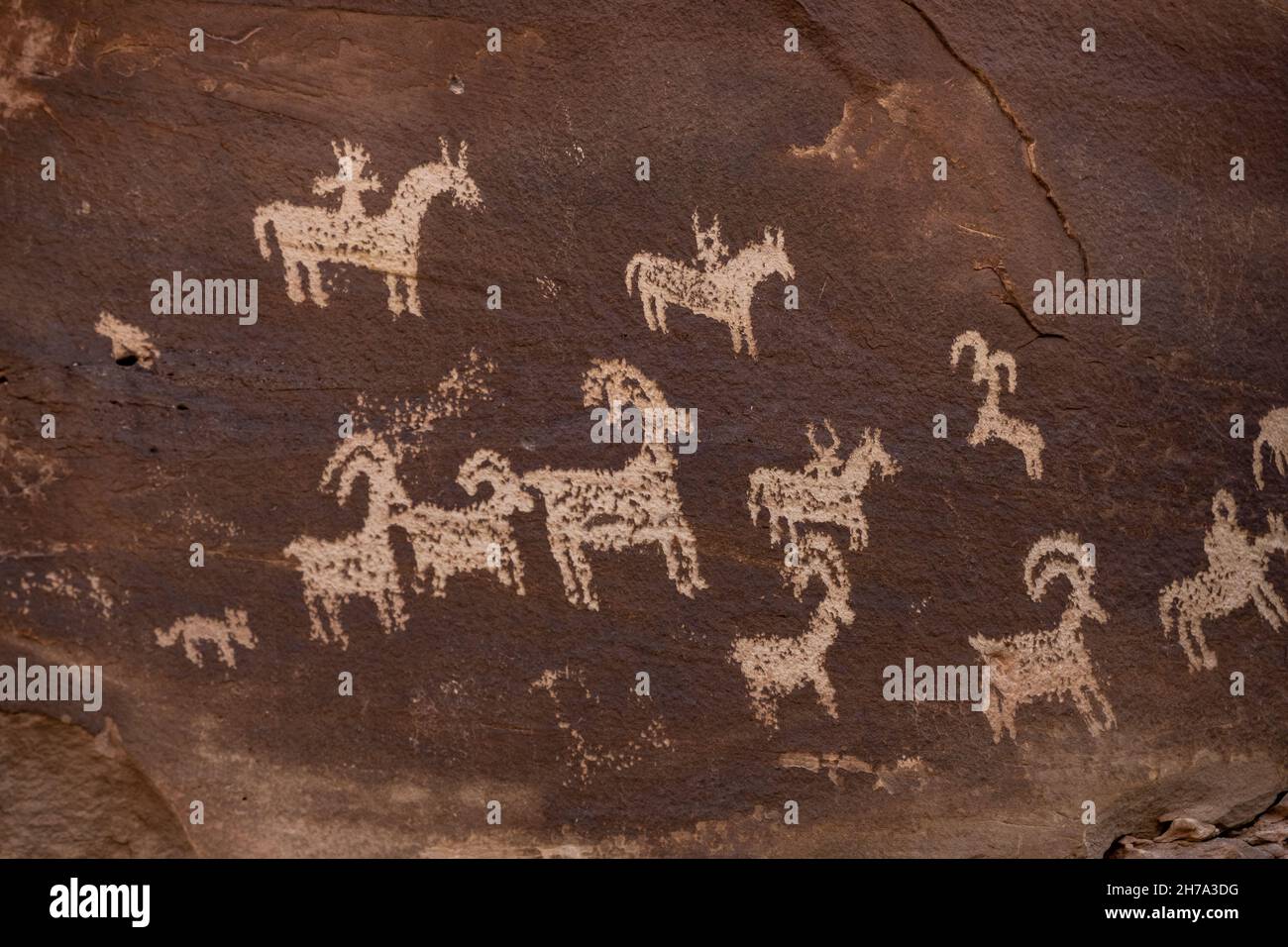Goat Petroglyphs At Wolfe Ranch in Arches National Park Stock Photo - Alamy