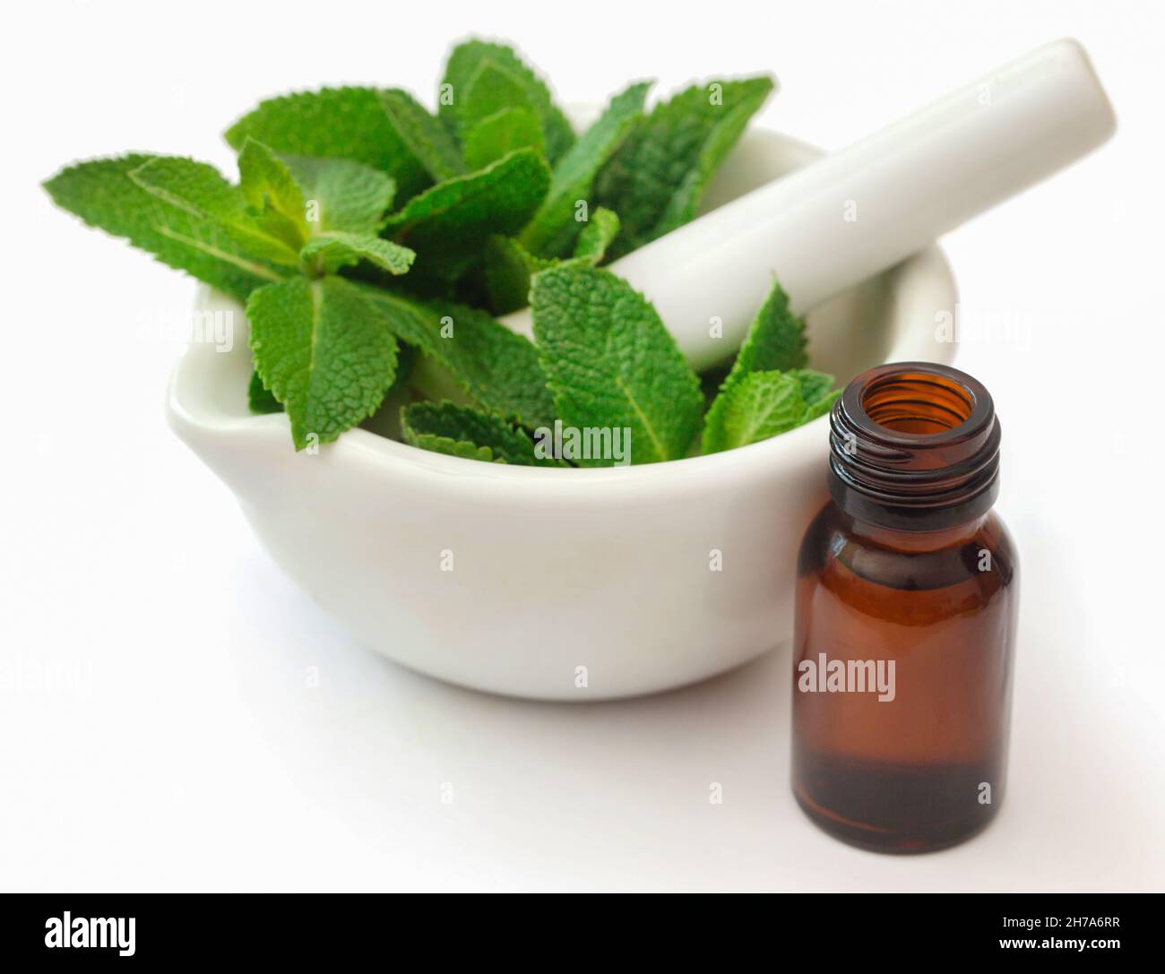 Mint leaves with essential oil in a bottle over white Stock Photo