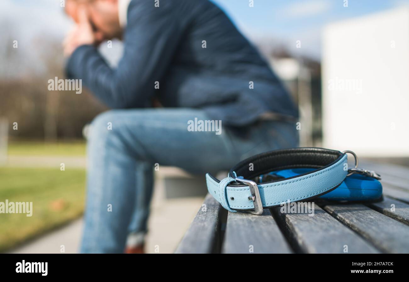 Broken with grief man dog owner is grieving sitting on a bench with the lovely pet collar and deep weeping about animal loss. Home pets relatives and Stock Photo