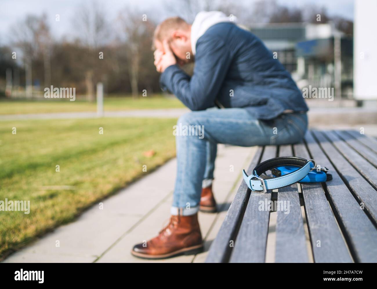 Broken with grief man dog owner is grieving sitting on a bench with the lovely pet collar and deep weeping about animal loss. Home pets relatives and Stock Photo