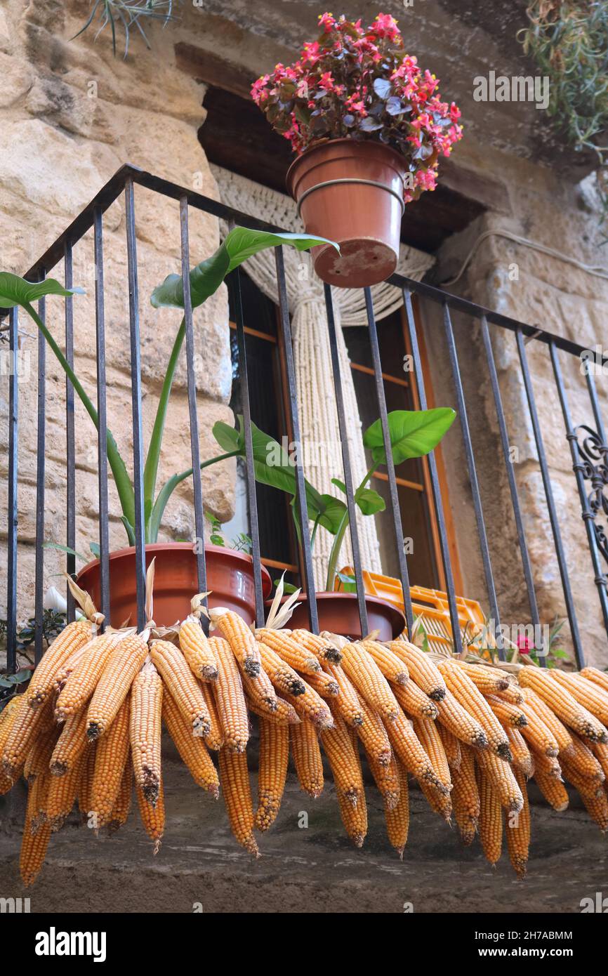 Corn on the cob harvest drying on the balcony of an old stone house in Horta de Sant Joan in Spain Stock Photo