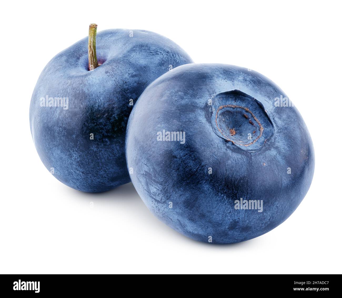 Two blueberry berries isolated on white background. Blueberry with clipping path. Full depth of field. Stock Photo