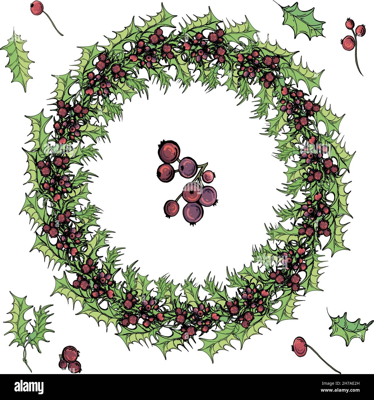 Bright vector floral wreath with leaves and berries isolated on Stock ...
