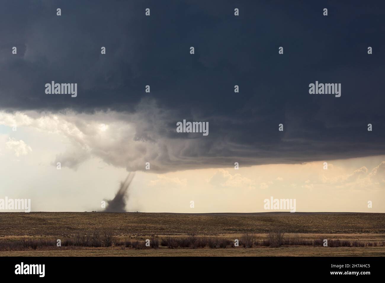 A landspout tornado in a storm near Kit Carson, Colorado Stock Photo