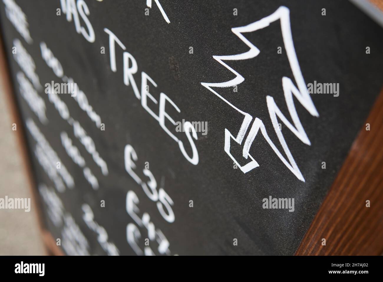 chalk hand-drawn Christmas tree on a background of black board with pound prices. Christmas tree sale. Stock Photo